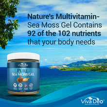 Load image into Gallery viewer, Pure Sea Moss Gel | Nature&#39;s Multivitamin - Natural, Wildcrafted, and Organic | Fresh and Handmade | Immune Support, Thyroid, Digestion - 16 oz
