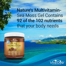 Load image into Gallery viewer, Pure Sea Moss Gel - Infused with Organic Cinnamon - Nature&#39;s Multivitamin - Wildcrafted | Fresh &amp; Handmade | Immune Aid, Thyroid, Digestion - 16 oz
