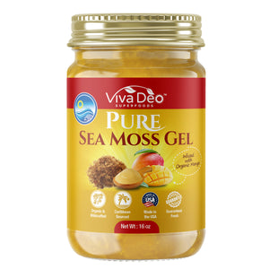 Pure Sea Moss Gel - Infused with Organic Mango - Nature's Multivitamin - Wildcrafted | Fresh and Handmade | Immune Support, Thyroid, Digestion - 16 oz