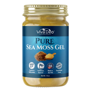 Pure Sea Moss Gel | Nature's Multivitamin - Natural, Wildcrafted, and Organic | Fresh and Handmade | Immune Support, Thyroid, Digestion - 16 oz